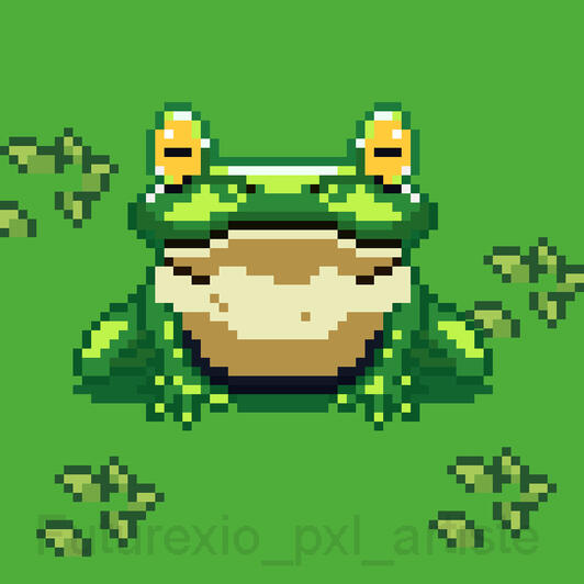 Grenouille / Frog